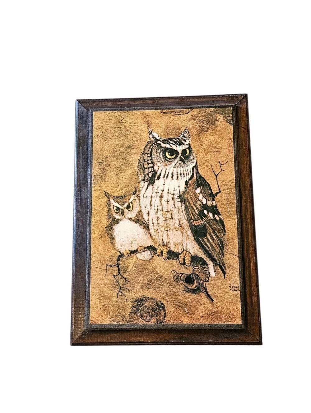 Vintage Richard Hinger "Screech" Owl Print Framed On Wood 15x21 in